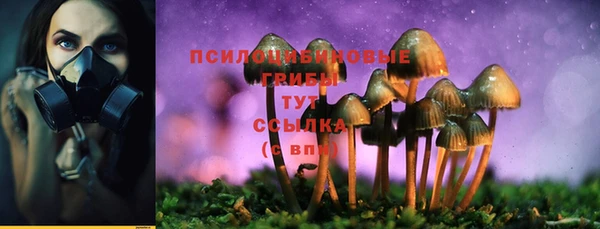 MESCALINE Медвежьегорск