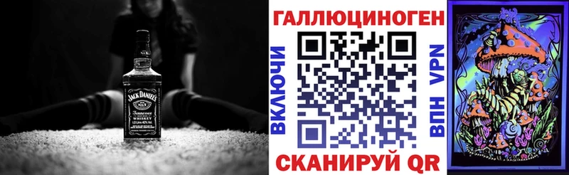 сколько стоит  Липки  Псилоцибиновые грибы Psilocybe 